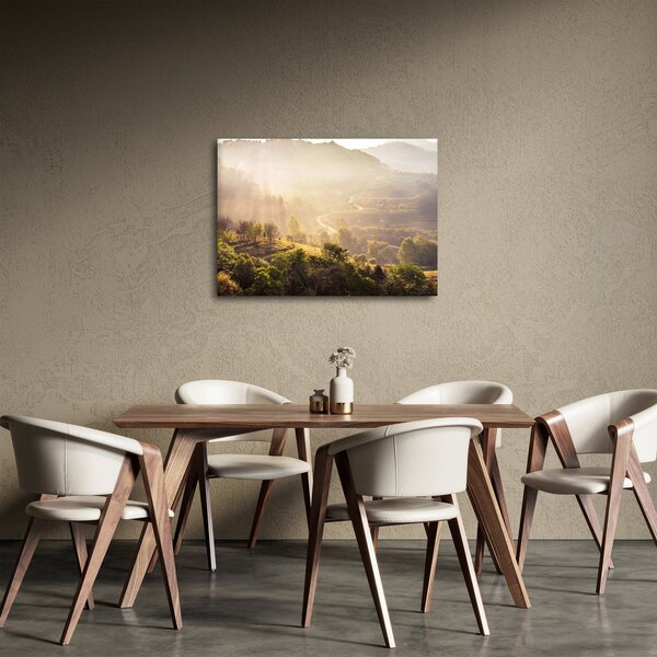 Obraz - Svítání (70x50 cm)