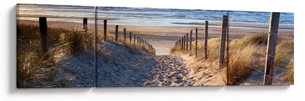 Obraz - Cesta k pláži Severního moře, Nizozemsko (170x50 cm)
