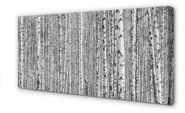 Obrazy na plátně Černá a bílá strom les 100x50 cm