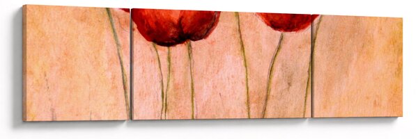 Obraz - Červené tulipány (170x50 cm)