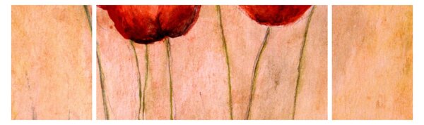Obraz - Červené tulipány (170x50 cm)