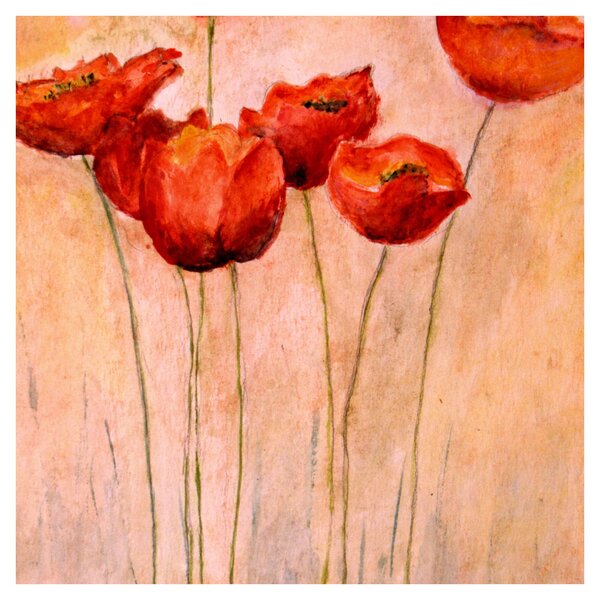 Obraz - Červené tulipány (30x30 cm)