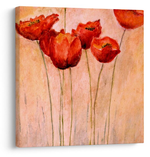 Obraz - Červené tulipány (30x30 cm)