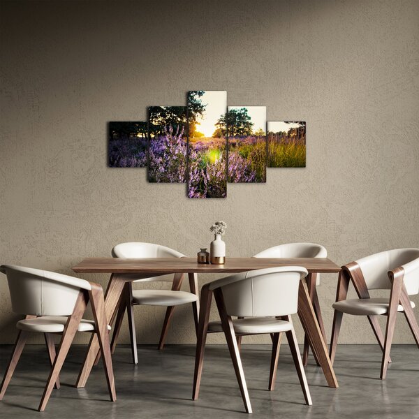 Obraz pole levandulí (125x70 cm)