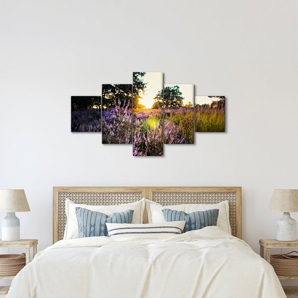 Obraz pole levandulí (125x70 cm)