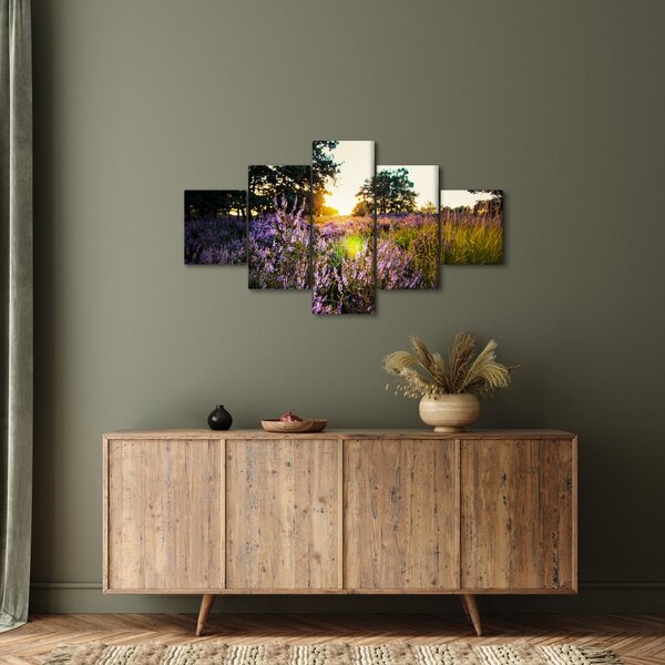 Obraz pole levandulí (125x70 cm)