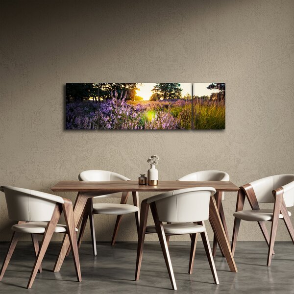 Obraz pole levandulí (170x50 cm)