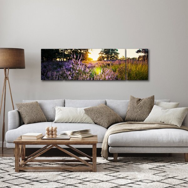 Obraz pole levandulí (170x50 cm)