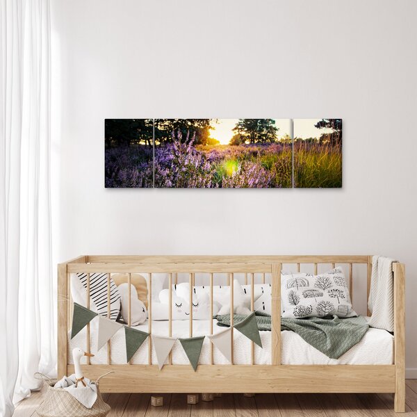 Obraz pole levandulí (170x50 cm)