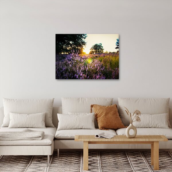 Obraz pole levandulí (70x50 cm)