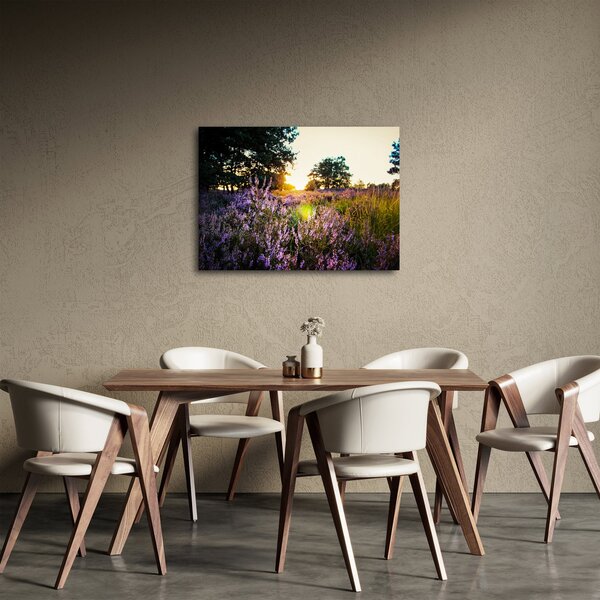 Obraz pole levandulí (70x50 cm)