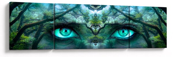 Obraz - Pohled (170x50 cm)