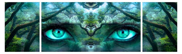 Obraz - Pohled (170x50 cm)