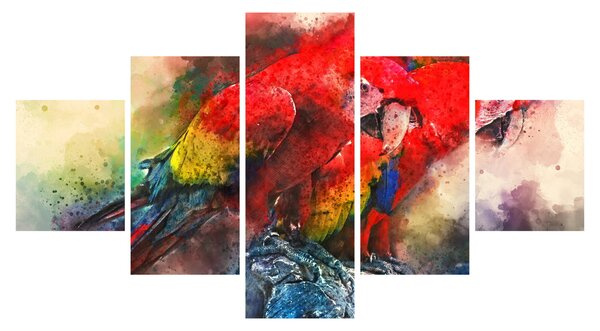 Obraz červených papoušků ara (125x70 cm)