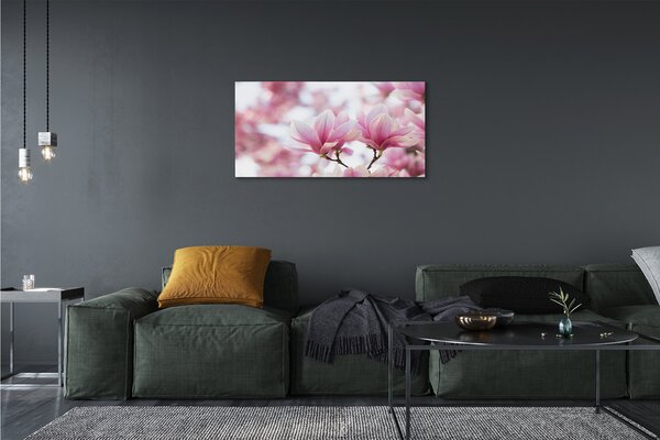 Obrazy na plátně magnolie strom 100x50 cm