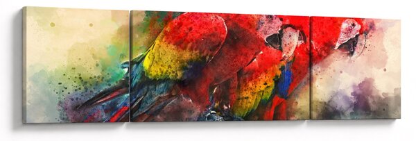 Obraz červených papoušků ara (170x50 cm)