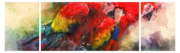 Obraz červených papoušků ara (170x50 cm)