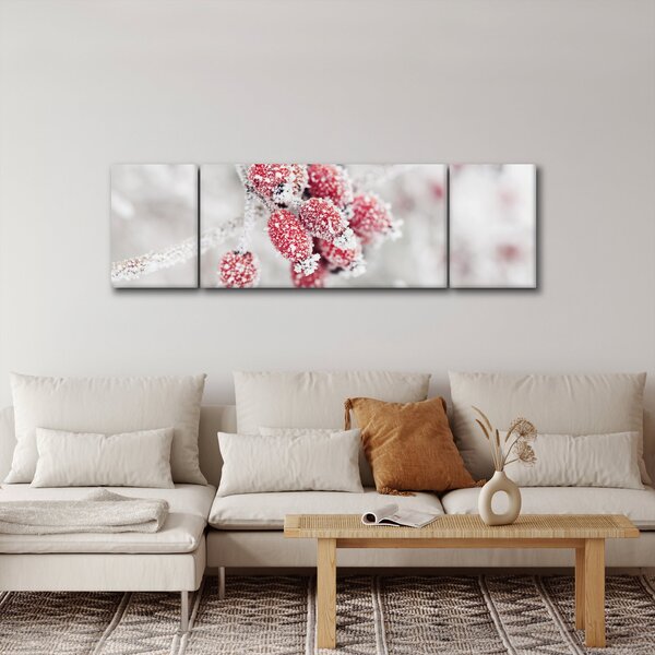 Obraz - Zmrzlé plody (170x50 cm)