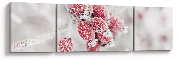 Obraz - Zmrzlé plody (170x50 cm)