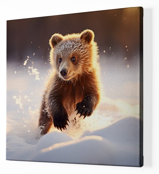 Obraz na plátně - Medvídě skotačí v zimní krajině FeelHappy.cz Velikost obrazu: 40 x 40 cm