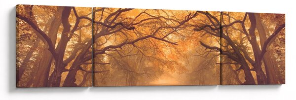 Obraz cesty v podzimní krajině (170x50 cm)