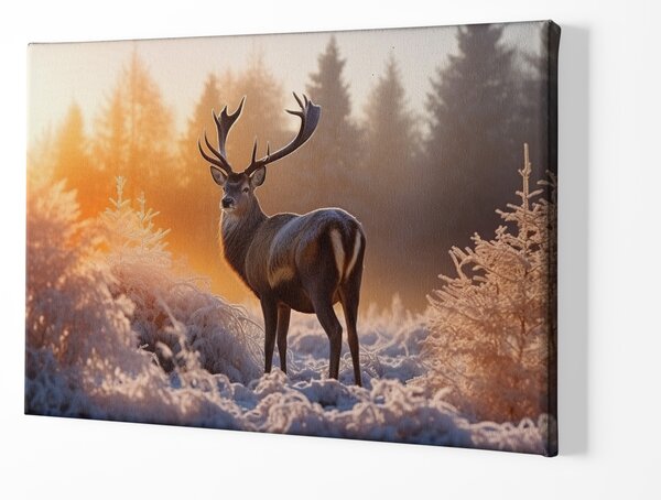 Obraz na plátně - Nádherný jelen v mrazivém slunečném ránu FeelHappy.cz Velikost obrazu: 40 x 30 cm