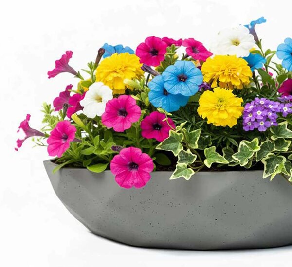 Okrasná miska CAVERO, sklolaminát, průměr 32 cm, šedá