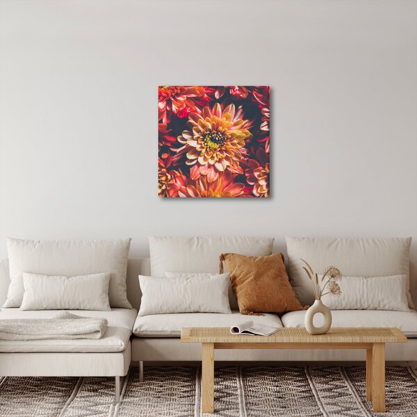 Obraz - Chryzantémy (30x30 cm)