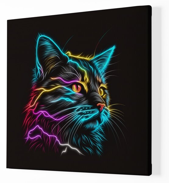 Obraz na plátně - Barevná zářící kočka FeelHappy.cz Rozměr (Šířka/Výška): 40 x 40 cm