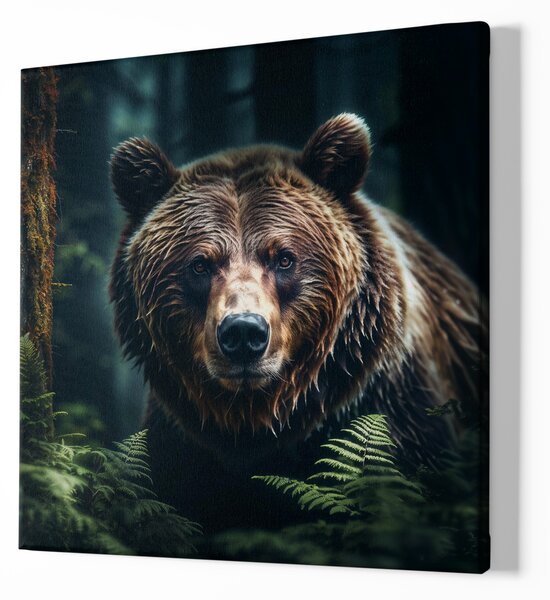 Obraz na plátně - Medvěd v kapradí, Králové divočiny FeelHappy.cz Velikost obrazu: 140 x 140 cm