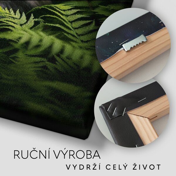 Obraz na plátně - Vlk skrytý v houštině, Králové divočiny FeelHappy.cz Rozměr (Šířka/Výška): 40 x 40 cm