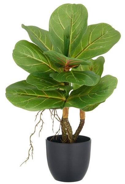 Umělý strom Fíkus Lyrata, 34cm