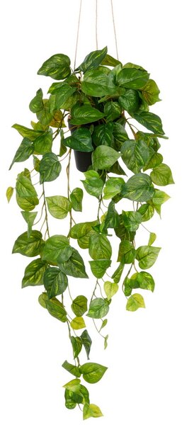 Umělá popínavá rostlina Philodendron popínavý závěsný, 75cm