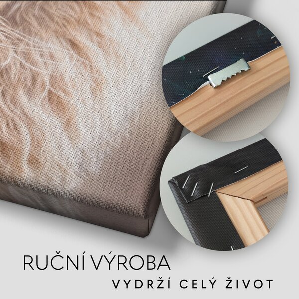 Obraz na plátně - Lev, portrét hluboký pohled krále, Králové divočiny FeelHappy.cz Rozměr (Šířka/Výška): 40 x 40 cm