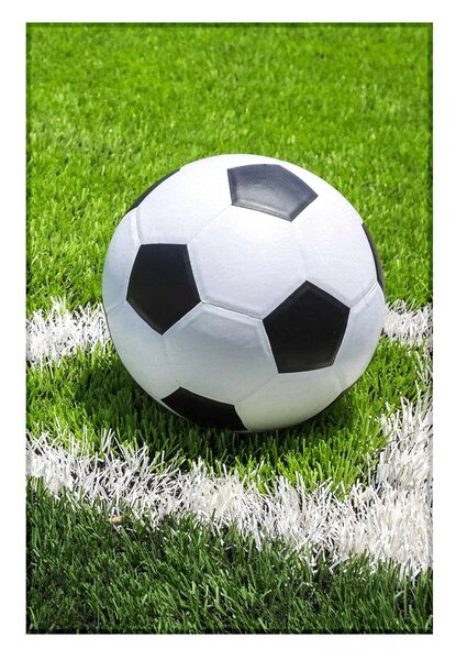 Jerry Fabrics Fleecová deka s motivem Fotbal - 100 x 150 cm