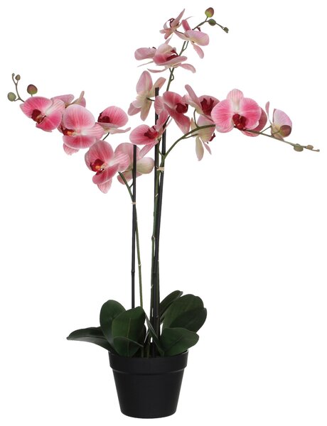 ORCHIDEJ 79 cm - Umělé květiny