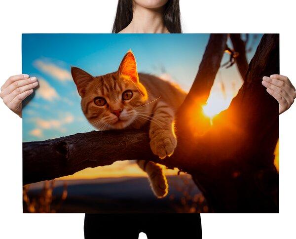 FeelHappy Plakát - Kočka na větvi při západu slunce Velikost plakátu: A2 (42 x 59,7 cm)