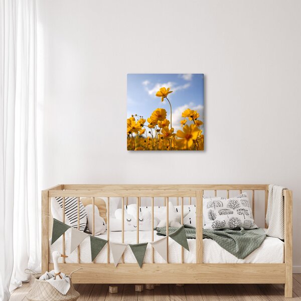 Obraz pole s jasně žlutými květy (30x30 cm)