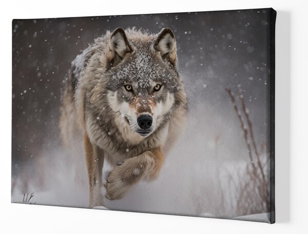 Obraz na plátně - Vlk běžící v divoké zasněžené krajině FeelHappy.cz Rozměr obrazu (Šířka x Výška): 60 x 40 cm