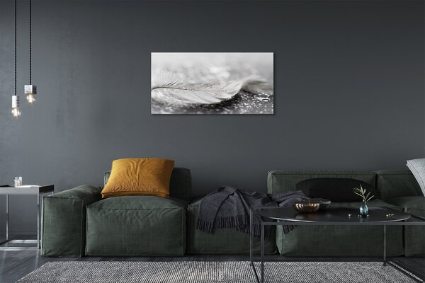 Obrazy na plátně Kapky peří makro 100x50 cm