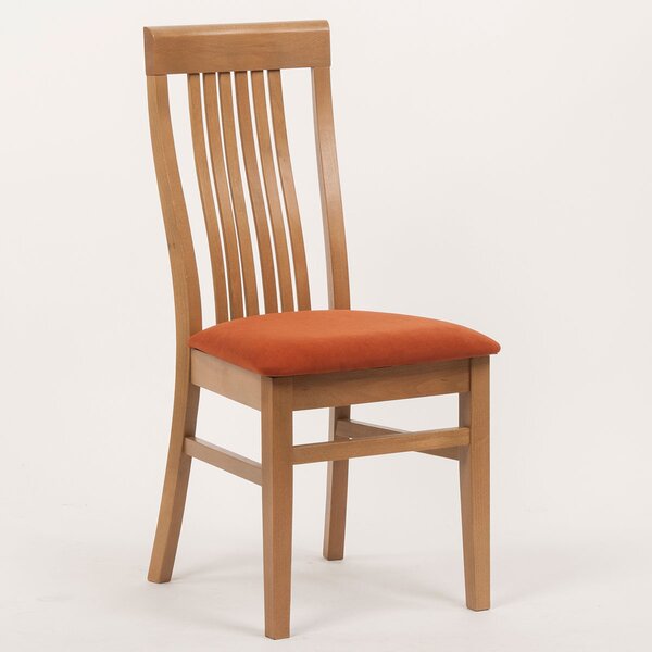 Stima Židle TAKUNA (buk) čalouněná Odstín: Dub Wotan, Látky: VELVET terracotta 44