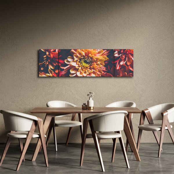 Obraz - Chryzantémy (170x50 cm)