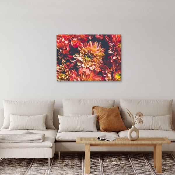 Obraz - Chryzantémy (70x50 cm)