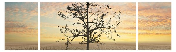 Obraz - Strom na poušti (170x50 cm)