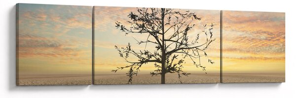 Obraz - Strom na poušti (170x50 cm)
