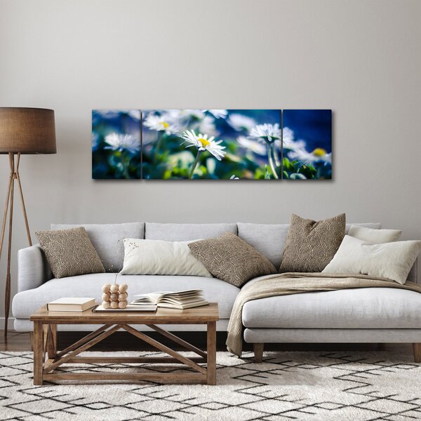 Obraz sedmikrásek (170x50 cm)
