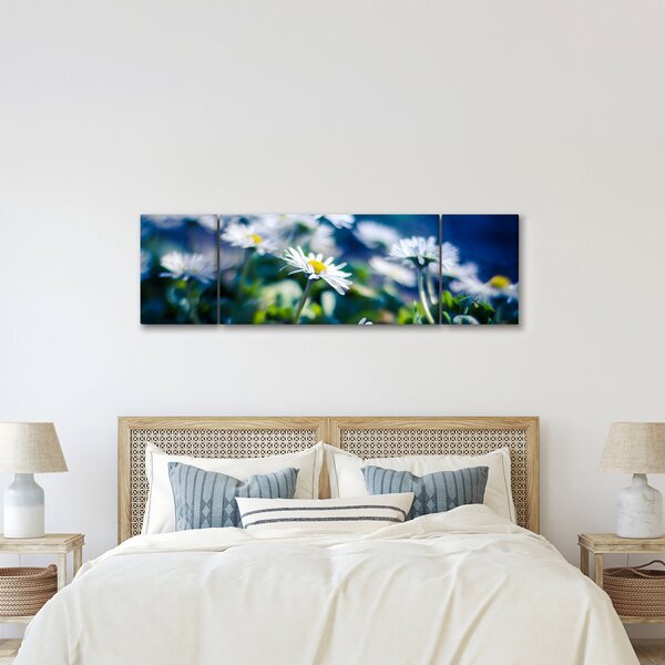 Obraz sedmikrásek (170x50 cm)