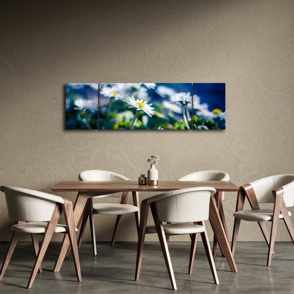 Obraz sedmikrásek (170x50 cm)
