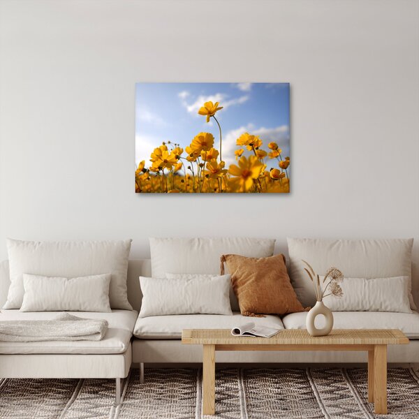 Obraz pole s jasně žlutými květy (70x50 cm)