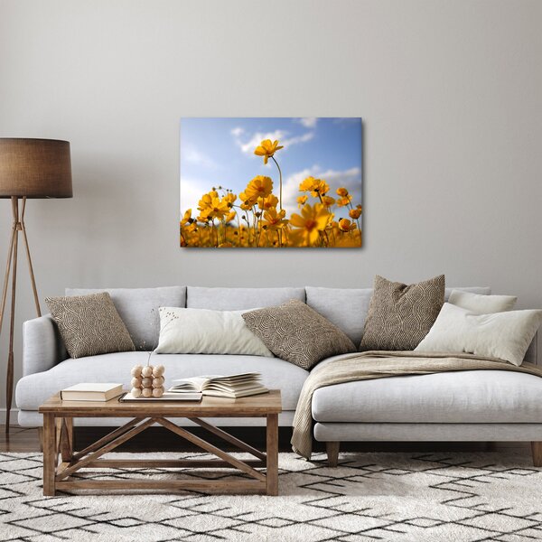 Obraz pole s jasně žlutými květy (70x50 cm)